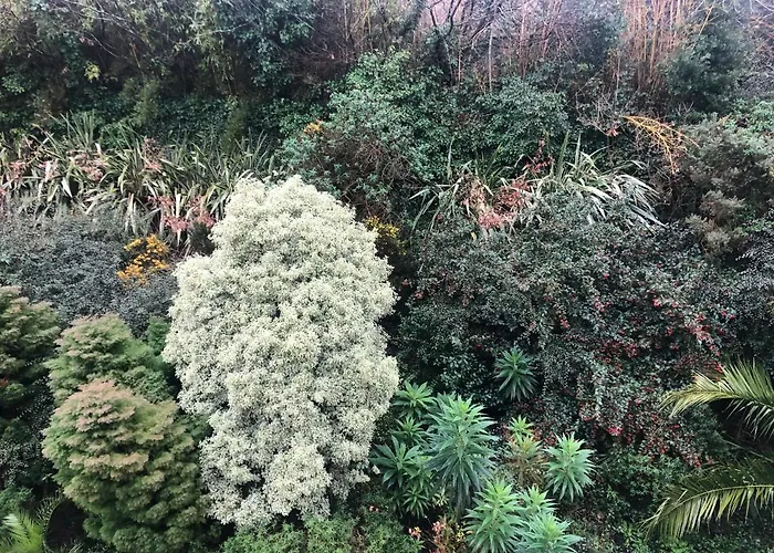 Logis De La Corniche Отель Брест