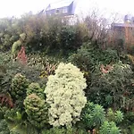 Hotel Logis De La Corniche