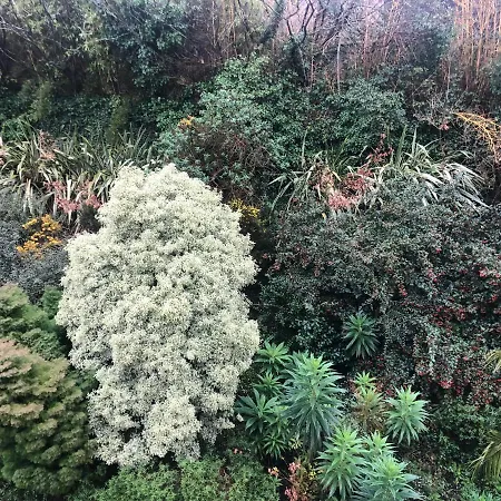 Logis De La Corniche Hotel Brest